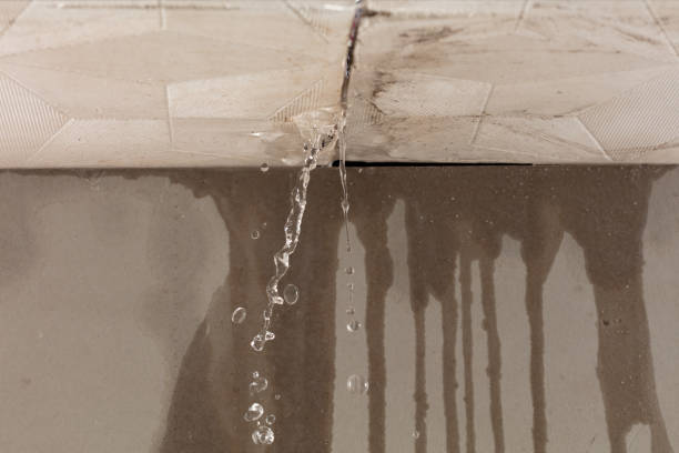 Professional Structural Drying technician working in Parlier, CA